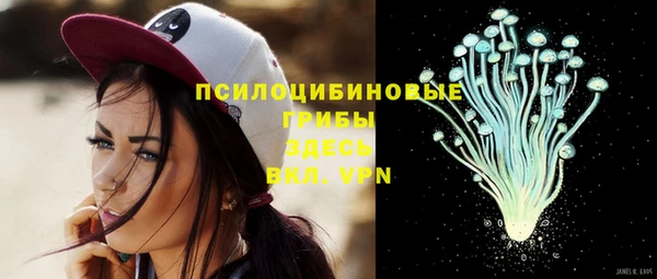 сатива Володарск