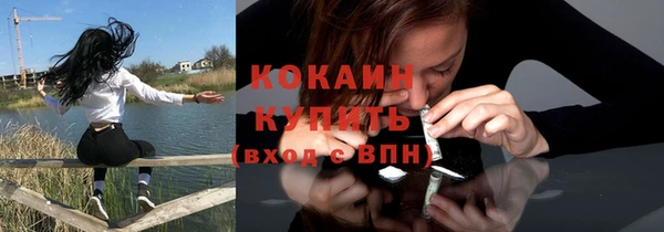 сатива Володарск