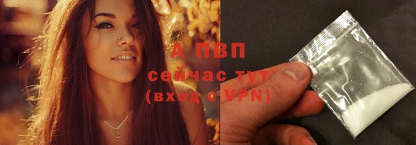 сатива Володарск