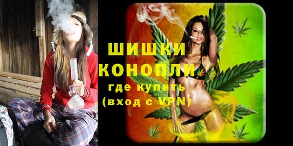 сатива Володарск