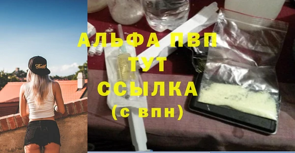 сатива Володарск