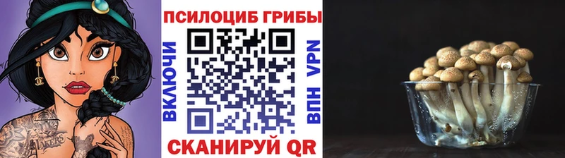 Галлюциногенные грибы Magic Shrooms  Калининск 